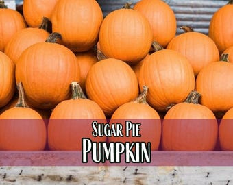 130 Pumpkin Seeds (Sugar Pie) | Rare Heirloom, Non-GMO, Vegetable Gardening Seed Packet for Pumpkin Pie, Carving Pumpkin, cucurbita pepo