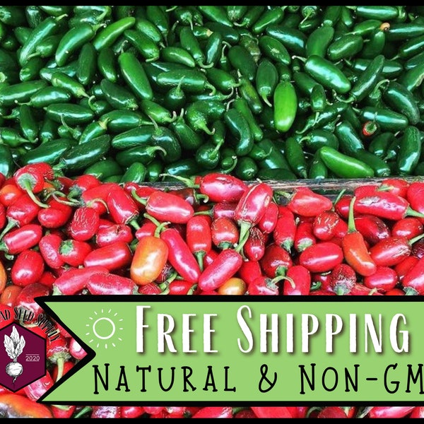 2,000 Jalapeno Hot Pepper Seeds | Heirloom, Non-GMO, Vegetable Gardening Seed Packet, Peppers for Hot Sauce & Pickling, Capsicum annuum