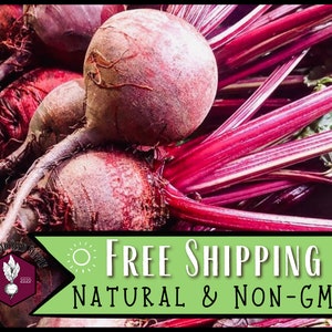 1,350 Beet Seeds (Detroit Dark Red) | Heirloom, Non-GMO, Vegetable Gardening Seed Packets for Planting Gardens, Beetroot, Beta vulgaris