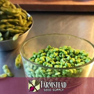 100 Edamame Soybean Seeds (BeSweet) | Heirloom, Non-GMO, Vegetable Gardening Seed Packets for Planting Gardens, Easy To Grow, Glycine max image 3