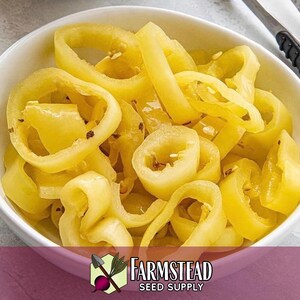 1,600 Sweet Banana Pepper Seeds | Heirloom, Non-GMO, Vegetable Gardening Seed Packet, Peppers for Canning & Pickling, Capsicum annuum image 5