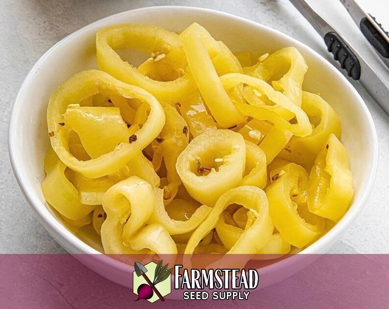 1,600 Sweet Banana Pepper Seeds | Heirloom, Non-GMO, Vegetable Gardening Seed Packet, Peppers for Canning & Pickling, Capsicum annuum image 5