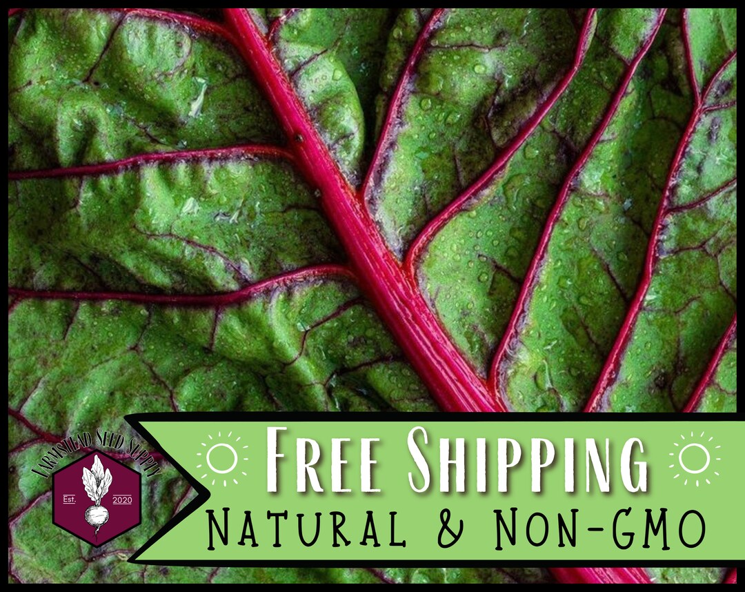 650 Swiss Chard Seeds (red Ruby) | Heirloom, Non-gmo, Vegetable ...