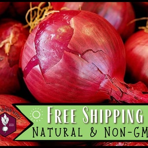 5,500 Onion Seeds (Red Creole) | Heirloom, Non-GMO, Vegetable Garden Seed Packet, Homesteading & Survival Garden, Allium cepa