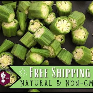 600 Okra Seeds (Clemson Spineless) | Heirloom, Non-GMO, Vegetable Garden Seed Packet, Seeds for Southern Hot Climate, Abelmoschus esculentus