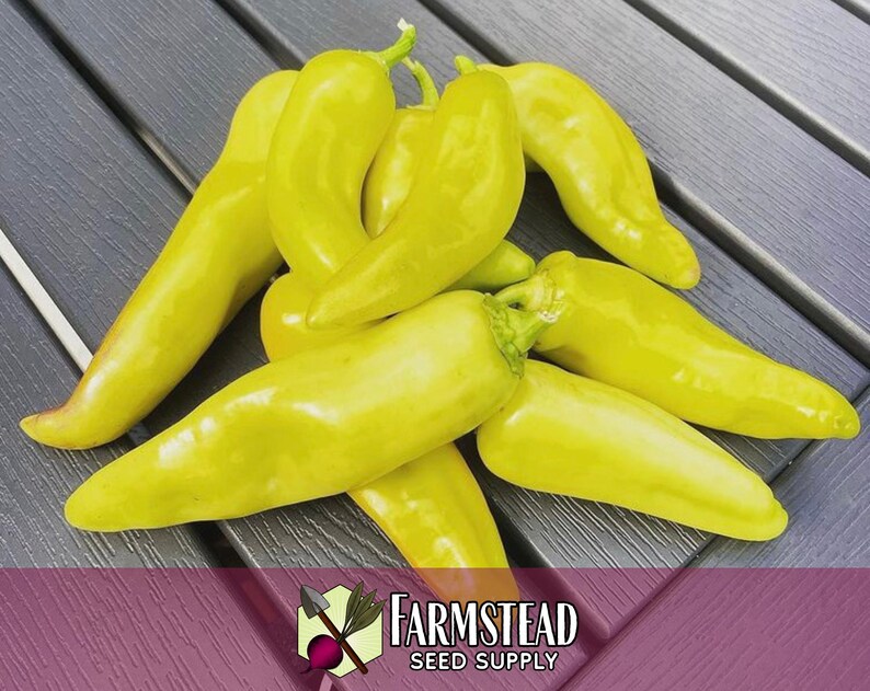 1,600 Sweet Banana Pepper Seeds | Heirloom, Non-GMO, Vegetable Gardening Seed Packet, Peppers for Canning & Pickling, Capsicum annuum image 4