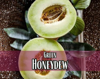 550 Honeydew Melon Seeds (Green Flesh) | Heirloom, Non-GMO, Fruit Seed Packet for Gardening, Cucumis melo