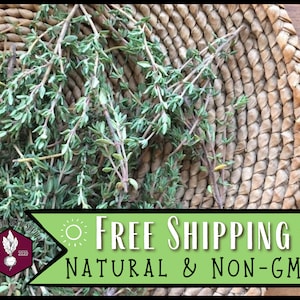 34,000 Common Thyme Seeds | HHeirloom, Non-GMO, Culinary Herb Gardening, Easy To Grow Seed Packet for Container Gardens, Thymus vulgaris