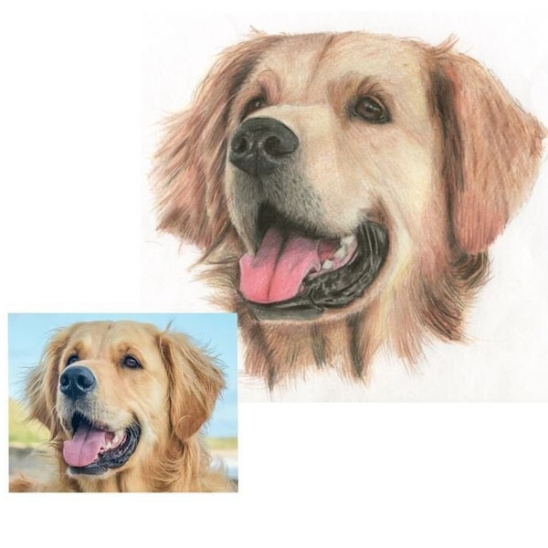 Hand Drawn Custom Pet Portrait, Personalised Home Art, Dog Cat Lover Gift, Pet Memorial