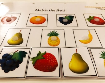 May include: A set of 10 cards with images of different fruits, including an apple, orange, grapes, strawberry, pear, pineapple, and banana. Each card has a white circle in the center.