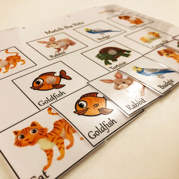Pets Learning Sheet / Preschool / Toddler / EYFS / Early Years / Worksheets / Busy Binder / Nursery / Game