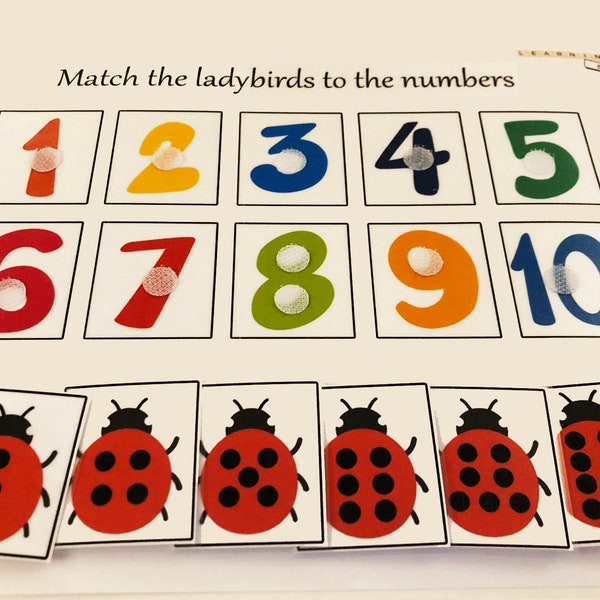 Ladybird Number Matching Learning Sheet / Early Years / Toddler / Preschool / EYFS / Activity / Reception