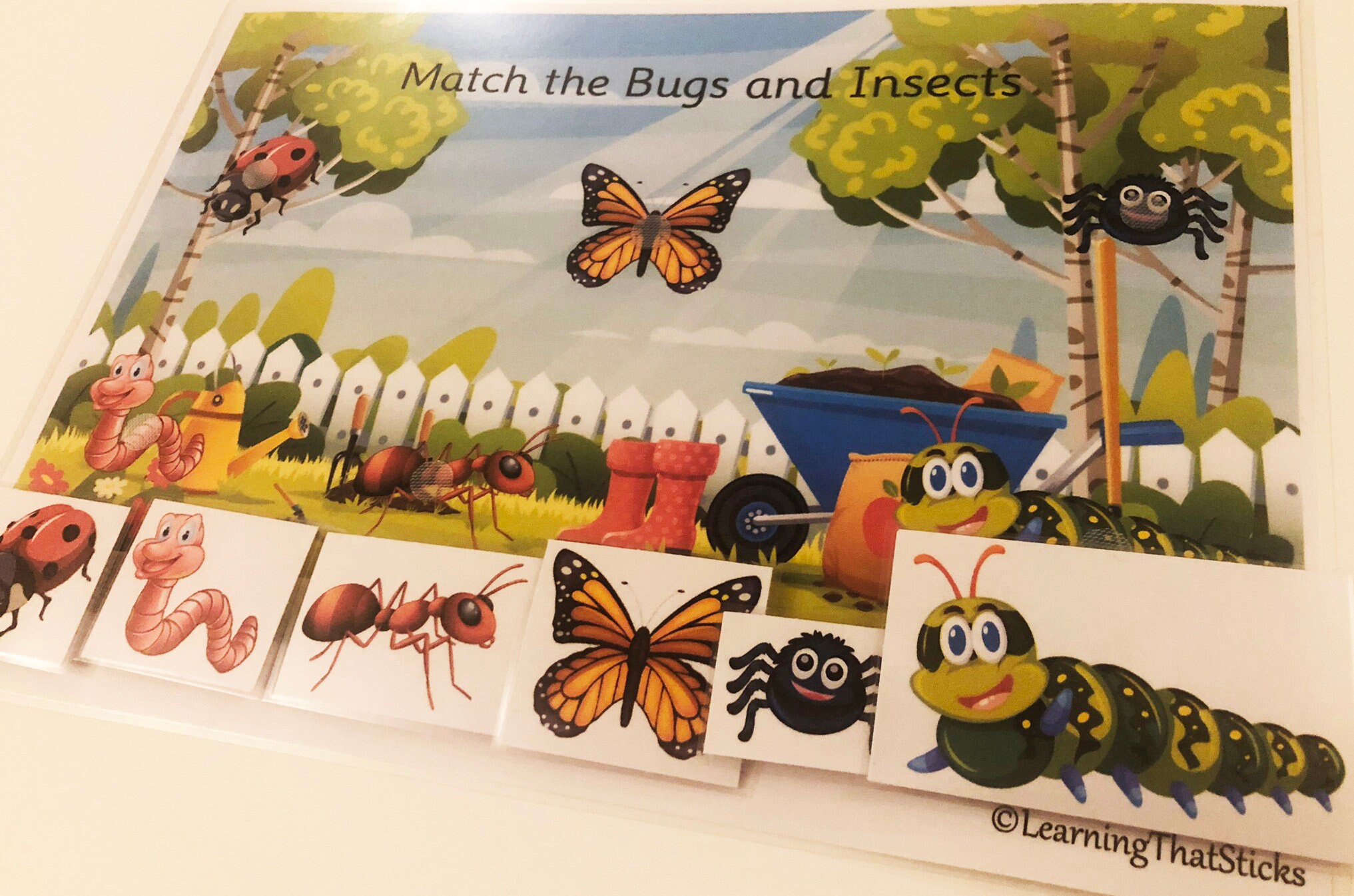 Bugs & Insects Learning Sheet / Preschool / Toddler / EYFS / Early ...