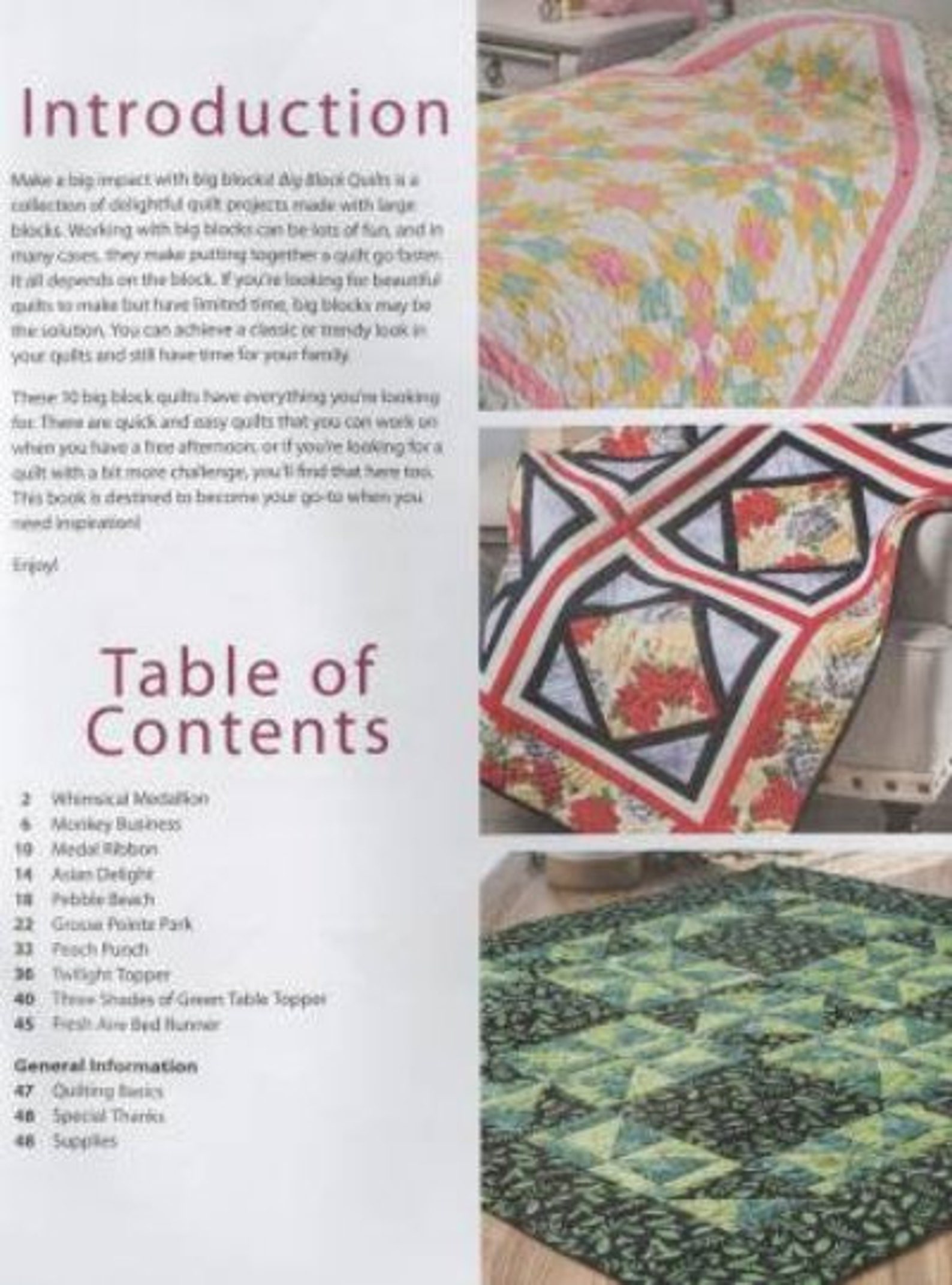 BOOK Big Block Quilts Annie's Quilting Softcover 48 Etsy