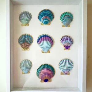 May include: A white framed display featuring nine colorful, painted seashells. The shells are in shades of blue, green, pink, and purple, with gold accents. The shells are arranged in a grid pattern.