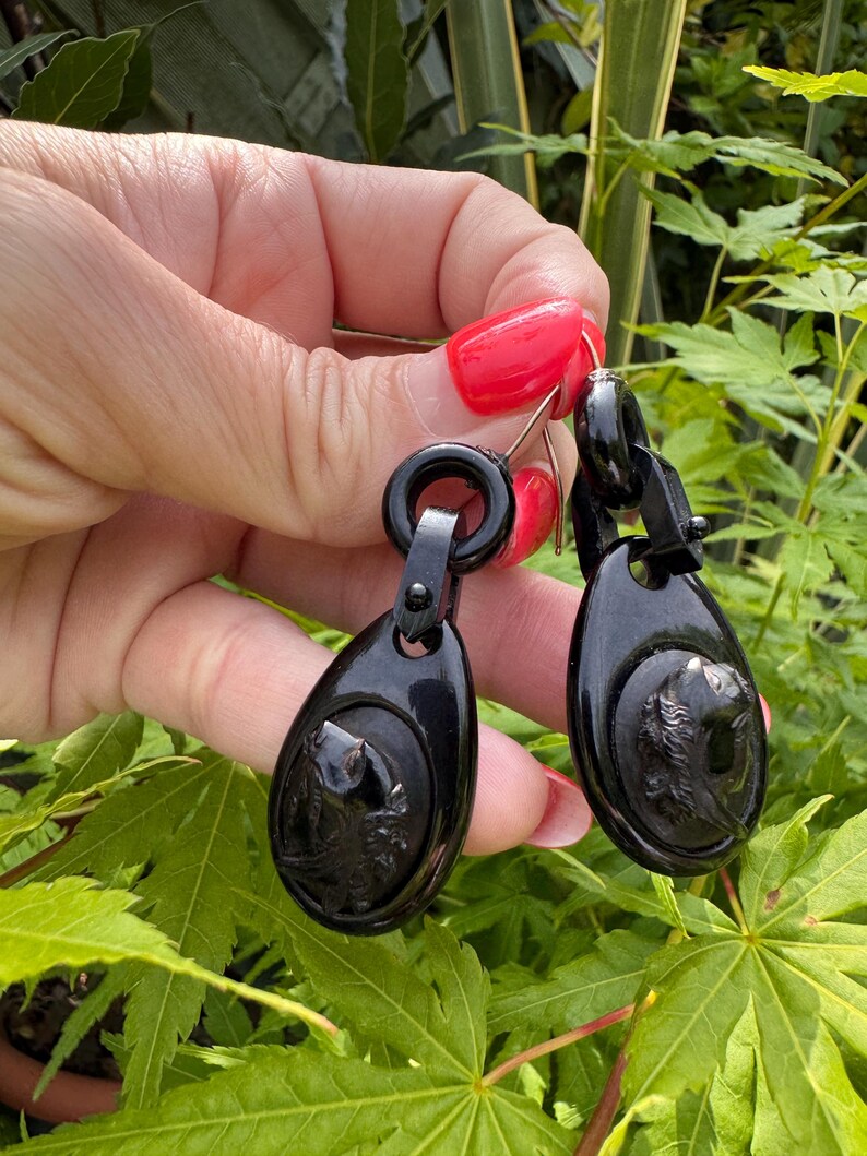 May include: A pair of black jet earrings with a carved bird design. The earrings are oval shaped and have a silver hook.