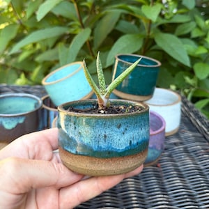 succulent planter for small plants, handmade ceramic pot with drainage