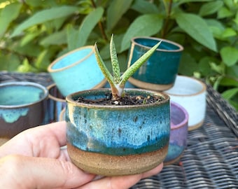 succulent planter for small plants, handmade ceramic pot with drainage