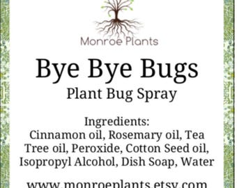 Bye Bye Bugs