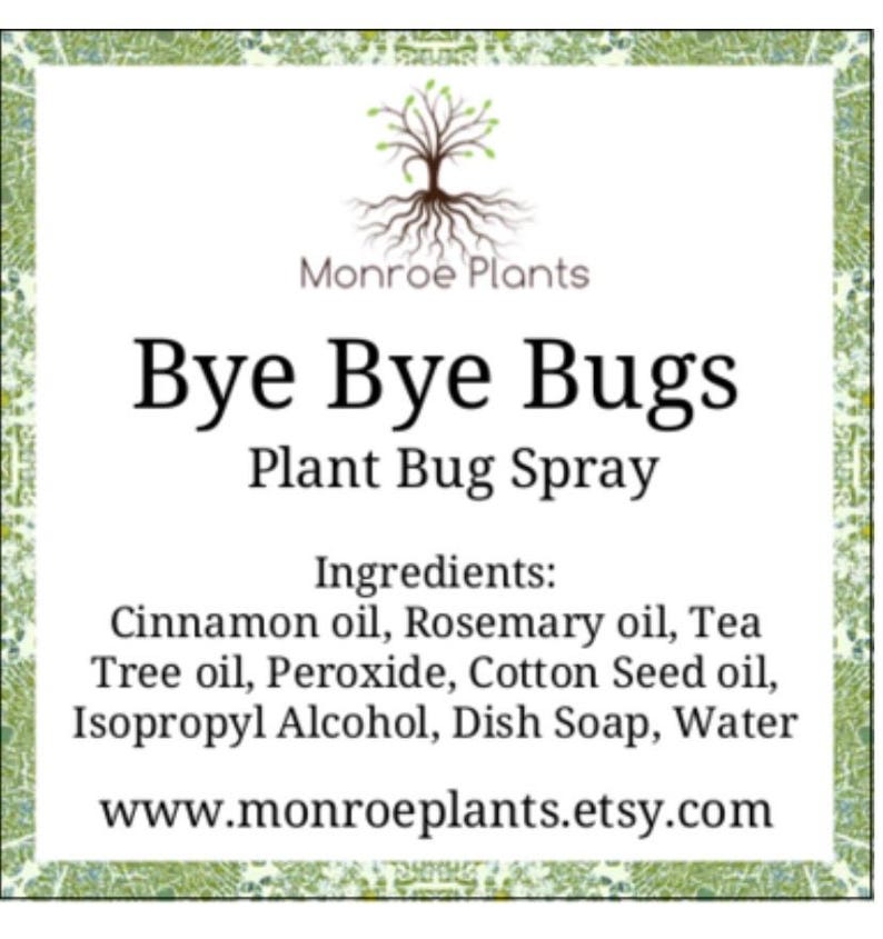 Op de afbeelding: Een rechthoekig etiket met een groene rand en de tekst "Bye Bye Bugs Plant Bug Spray". Het etiket bevat ingredi&euml;nten zoals kaneelolie en rozemarijnolie. Het Monroe Plants logo staat bovenaan, de website onderaan.