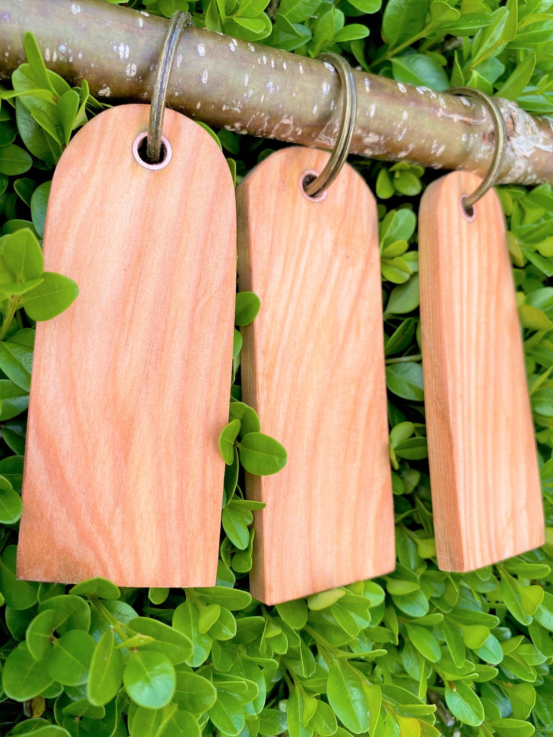 Pflaumenholz: gepunzter Schlüsselanhänger aus Obstholz mit | Etsy