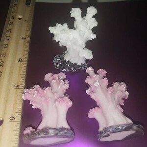 Real Coral-1 Piece-asst Sizes-assorted Coral Pieces-coral Decor