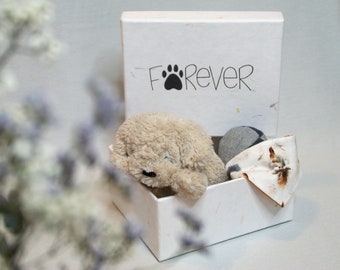 Erinnerungsbox / Geschenkbox für Tierliebhaber*innen