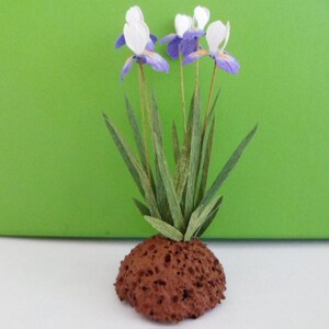 Iris, 1&quot; purple/white dollhouse scale   These flowers are not real!