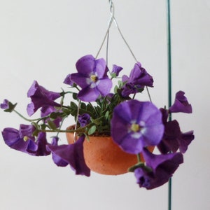 Petunia, purple wave hanging basket 1&quot; scale