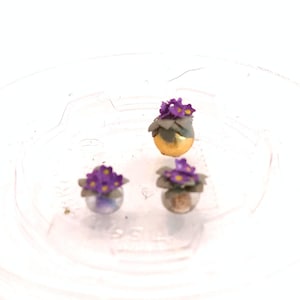 Puede incluir: Tres plantas en maceta en miniatura con pequeñas flores moradas de centro amarillo y hojas de color gris verdoso. Una planta se encuentra en una maceta esférica dorada, mientras que las otras dos están en recipientes transparentes y redondeados.