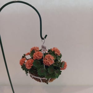 May include: A miniature hanging basket with peach-colored flowers and green leaves. The basket is suspended from a dark green metal hook. A small tag reads "Peach".