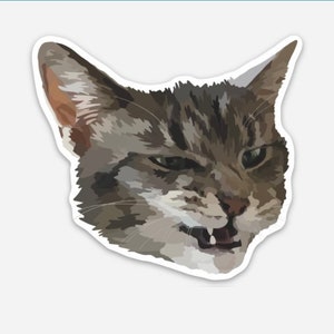 Silly Cat Sticker | Vinyl Aufkleber | Wasserfest & Wetterfest | Wasserflasche, Laptop oder Journal | Kätzchen| Katzenliebhaber