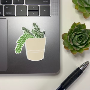 Naklejka Sukulent Osioł | Naklejka Roślina Domowa na Hydroflask / Laptop | Naklejka Roślina Wodoodporna / Odporna Na Warunki Atmosferyczne | Naklejka Roślina w Doniczce