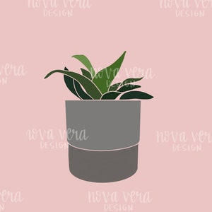 Snake plant (Sansevieria) in pots, SVG file, digital download for cricut, silhouette, etc. (PDF, PNG, jpeg)