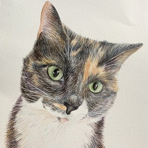 Custom Watercolor Painted Pet Portraits