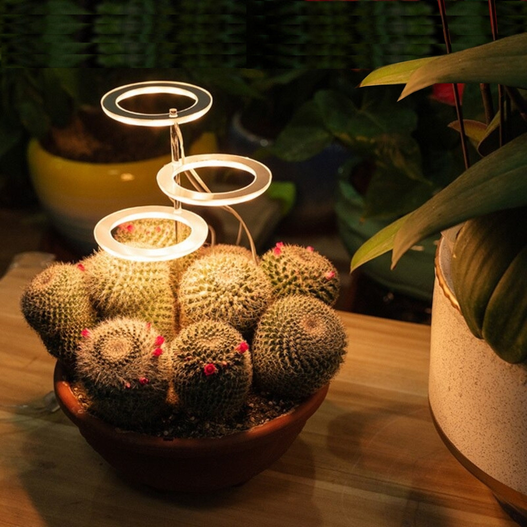 LED Angle Ring Plant Growth Light Full Spectrum Phyto Grow Etsy