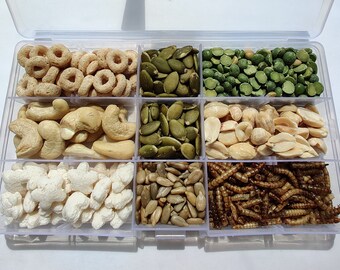 Hamster treat box - mouse treat box - mouse treats - hamster treats