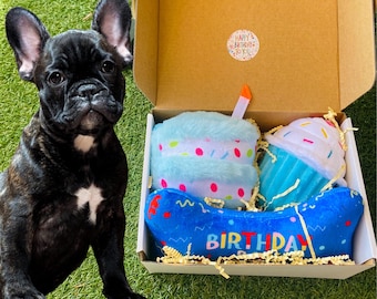 Birthday dog birthday gift box for pet cupcake squeaky toy cake bone bandana birthday boy puppy birthday dog toy gift