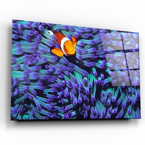 Nemo - Glass Printing Wall Art - Glass Wall Art - Home Decoration - House Warming Gift - Interior Design Ideas-Wall Hangings - Ocean - Fish