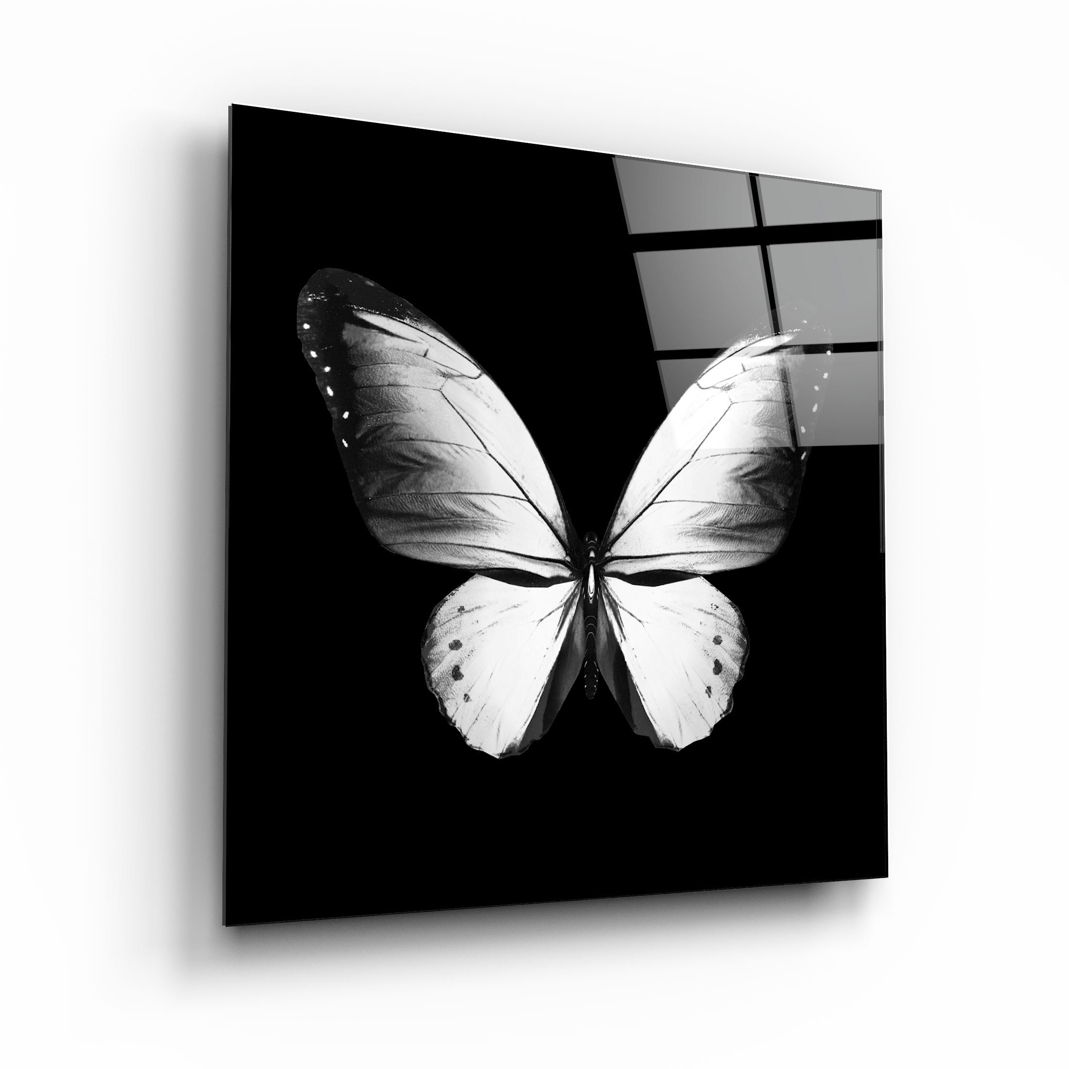 Butterfly Black and White Glass Printing Wall Art Glass Wall