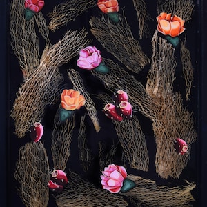 Könnte beinhalten: Ein gerahmtes Kunstwerk mit schwarzem Hintergrund, getrockneten Kaktusblättern der Feigenkaktus und gemalten rosa, orangefarbenen und roten Blüten.