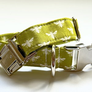 Bee Dog Collar, Lime Green Dog Collar, Adopt a Pet, Beekeeper Gift,