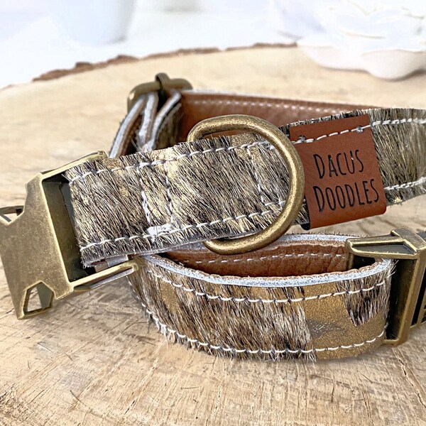 Western Dog Collar Etsy