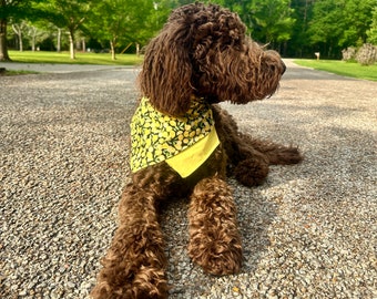 Lemon Dog Bandana, Summer Dog Bandana, New Puppy,