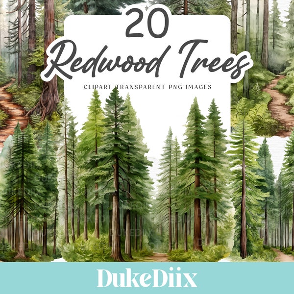 Redwood Trees Clip Art Transparent Background PNG File Digital Download For Commercial Use