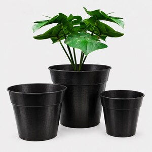 May include: A set of three black, tapered metal plant pots with a smooth finish. The central, largest pot contains a green Monstera plant with broad, split leaves. The pots are arranged in a cluster, with two smaller pots flanking the centre.