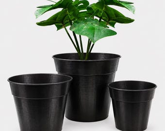 Black Polished Copper Planter Pots | Set of 3 & Large Single Hammered Pots