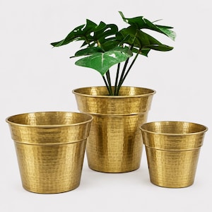 May include: A set of three gold-colored metal planters with a hammered texture. The planters are arranged in a group, with the center planter containing a green plant with broad, split leaves. Each planter features a tapered cylindrical shape.