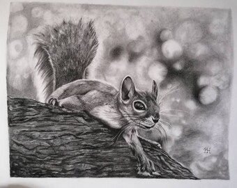 Original carbon pencil drawing of squirrel, wildlife drawing