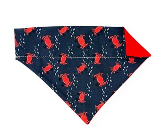 Hund Bandana | Über das Halsband